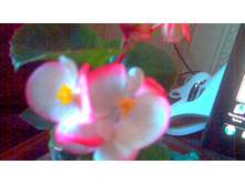 ������� �������������