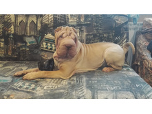 IMG 20170710 183657.jpg