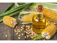 ����� ����������.jpg