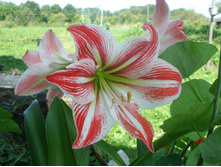 ���������? ����������?