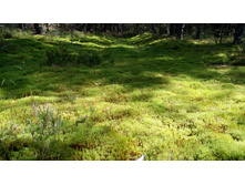 IMG 20170901 111316.jpg