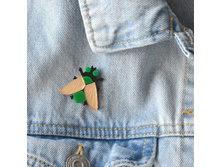 ����� ���� �������