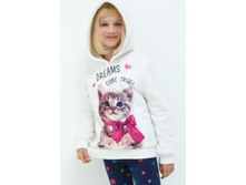 20210170048   Funk   ����.jpg