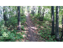 IMG 20170924 145821.jpg