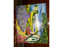 166447803-p 20170102 115519 1 p.jpg