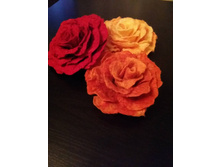 17952689 1389007197809075 2720137713050150310 n.jpg