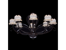 444012008 11200� (29��).jpg