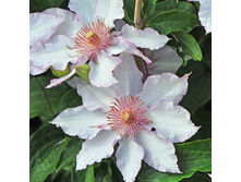 �������� ��������������� ���� (V2�.).jpg