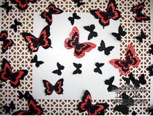 ��-�� �� ��. �����-�������. 273 ���. ����������.jpg