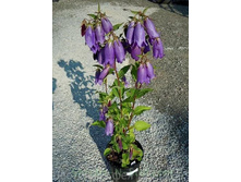 ����������� ������� 90�...jpeg