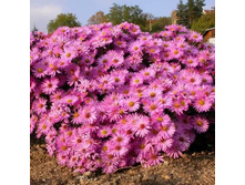 ����� ������������� ���������� ��� ��������� 120�.jpeg