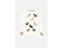 20210310049   Bolton   �����(���).jpg