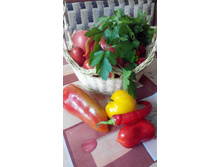 ������� ����