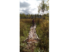 IMG 20170916 131437.jpg