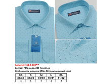 312-3-10X** ������������ ������� ������. ��. �����, BROSTEM - 570 ���