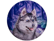 S06301023 ����� ��������� ������ ����� R16,17 SKYWAY ���-���� (���������) ���� 543 ���..jpg