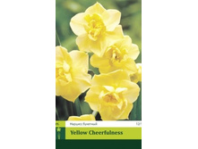 ������� �������� Yellow Cheerfulness, 2 �� � ��������, 71���+18%, 6��.jpg