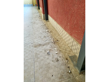 IMG 20170902 120724 HDR.jpg