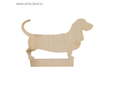 ��������� ������ ���� 2018 "�����", 5�5 �� ,14,90��� ��� 10��