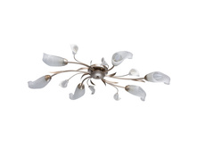 242016306 4225�.jpg