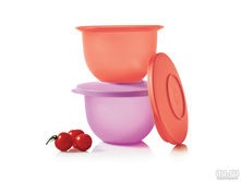 ���� (���������) ���������� �� Tupperware 1 �� 375 ���