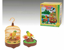 ������� ���� - 240,05 ���