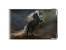 300 � ������� ��������� ����������.jpg