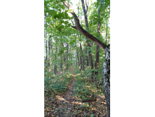 IMG 20170924 145358.jpg