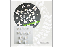 ������ ���������� �����.jpg