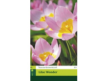 ������� ������������ Lilac Wonder, 3 �� � ��������, 72���+18%, 1��.jpg