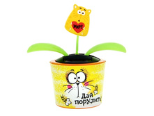 ������� "��� ��������!" ����; ����; �����; 6,8 �� × 13,1 �� × 13,1 ��; �������; � ����� 120 ��. ���.: 122880 85.00���.