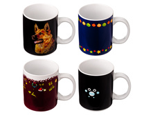 148,75 ���. - ���������� ������ � �������������, 360��, ��������, �����.��, 4 �������