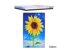 ���\�������: 602247 ������ 5�8 �� ��������� 23,30 ���.