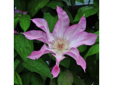 �������� ��������������� ����� (V2�.).jpg