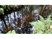 IMG 20170930 132316.jpg