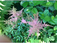 �������� ���� ������� ����.