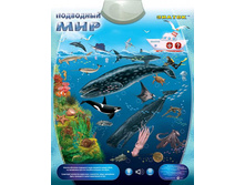 ������ �������� ������ ����������� ��������� ��� - 666,49 ���