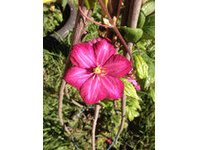 �������� "���� �� ����"