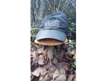 IMG 20170909 130148.jpg