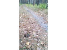 IMG 20170930 121701.jpg