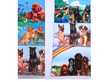 ��������� ���������� ���������� 55�65 (���� 12��)