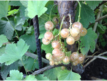 ����� ���������, � �������� ��� ������� ������!