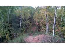 IMG 20170924 144135.jpg