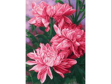 ���������� 27�38 Ag 278.jpg