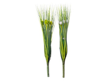 120,75 ���. - ����� �������������, �������, ���������, 63��, "� ��������", �������, 2 �����