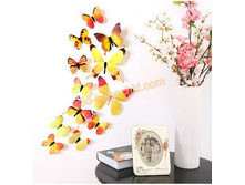 ������������ ���������� ������.jpg