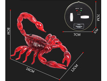 � ����.����