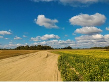 P 20170924 113241.jpg