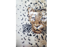 Ps1271 351611 ���� ������, 180�200 ��..jpg