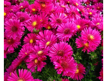 ����� ������������� ������.120�.jpeg